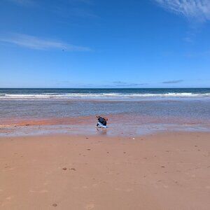 Meet your Posher, Courtney